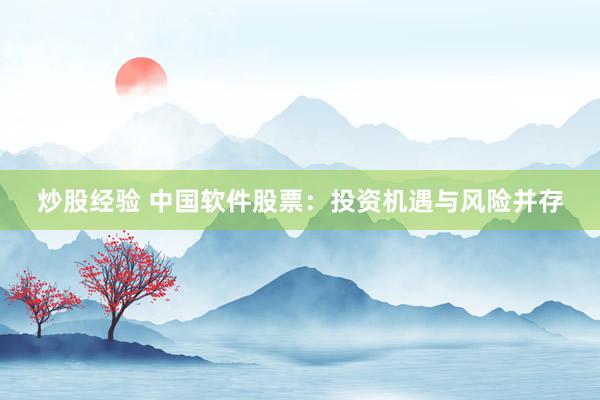 炒股经验 中国软件股票：投资机遇与风险并存
