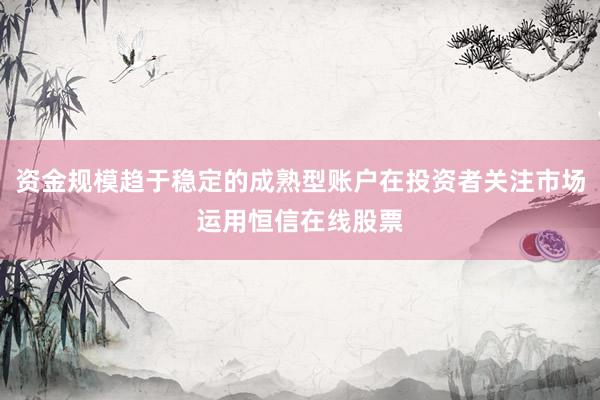 资金规模趋于稳定的成熟型账户在投资者关注市场运用恒信在线股票