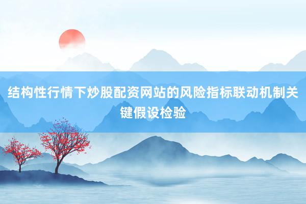 结构性行情下炒股配资网站的风险指标联动机制关键假设检验