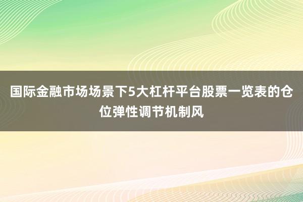 国际金融市场场景下5大杠杆平台股票一览表的仓位弹性调节机制风