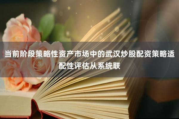 当前阶段策略性资产市场中的武汉炒股配资策略适配性评估从系统联