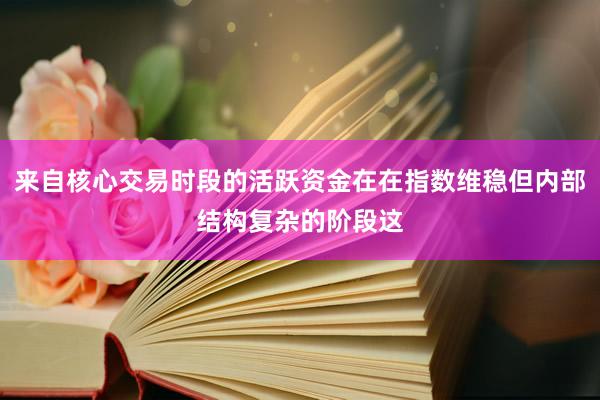 来自核心交易时段的活跃资金在在指数维稳但内部结构复杂的阶段这