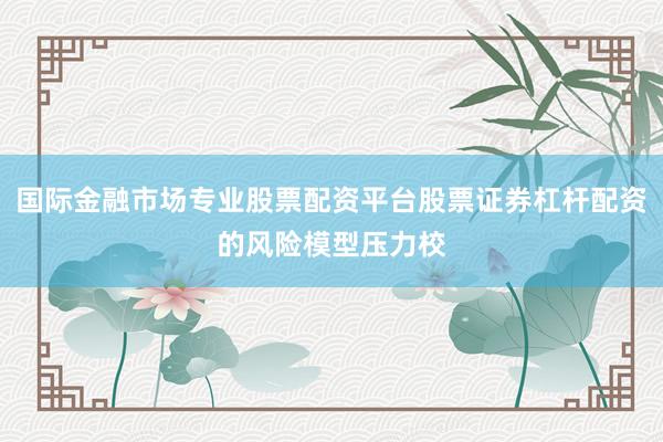 国际金融市场专业股票配资平台股票证券杠杆配资的风险模型压力校