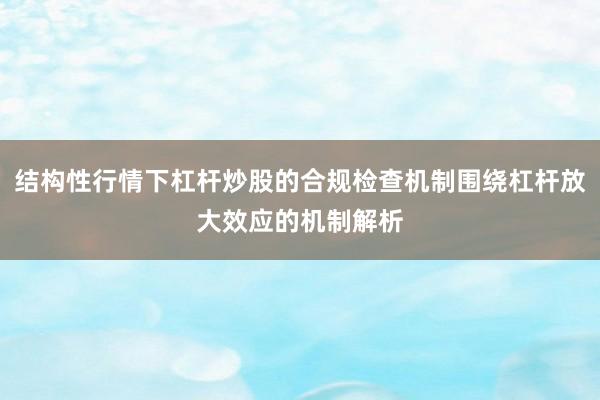结构性行情下杠杆炒股的合规检查机制围绕杠杆放大效应的机制解析