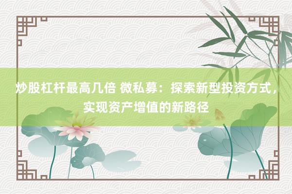 炒股杠杆最高几倍 微私募：探索新型投资方式，实现资产增值的新路径