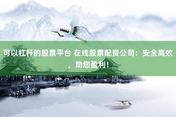 可以杠杆的股票平台 在线股票配资公司：安全高效，助您盈利！
